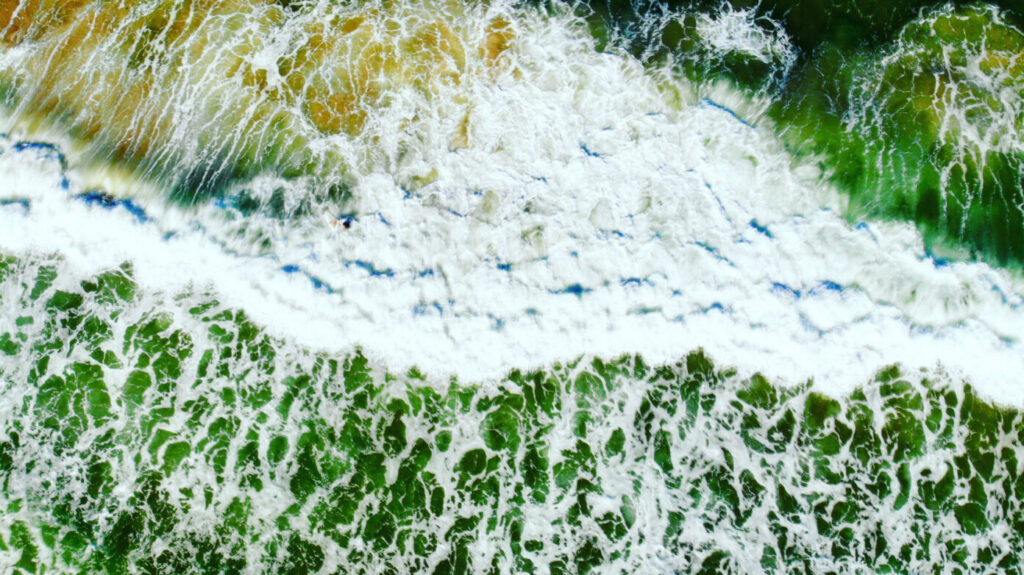 Neue Richtlinie gegen Greenwashing